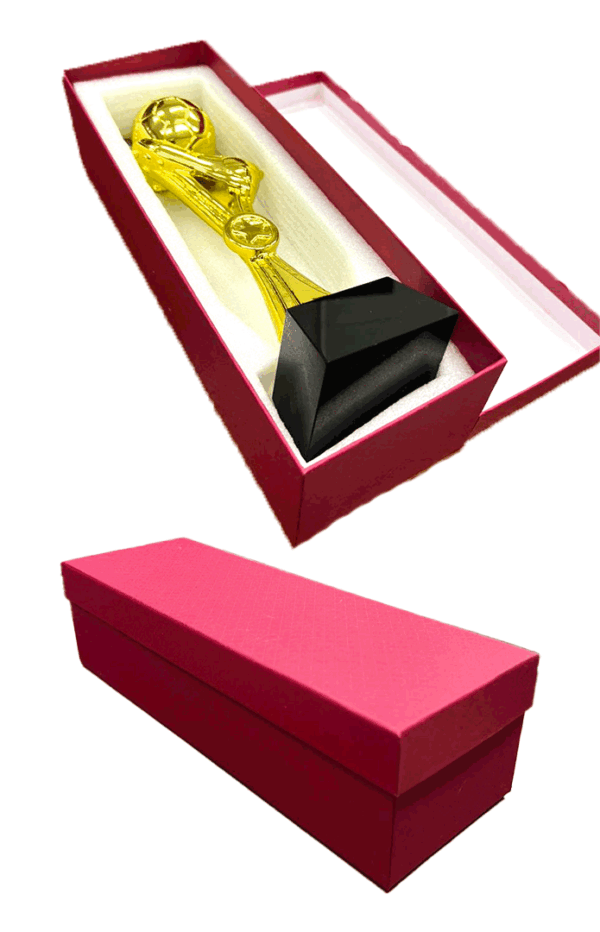 Trofeo de Fútbol Premium - Imagen 5