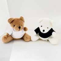 Osito de Peluche Pequeño